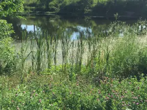 Beckley Creek Park