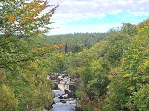 Rogie Falls