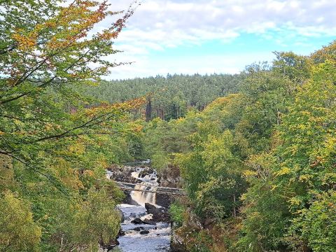 Rogie Falls