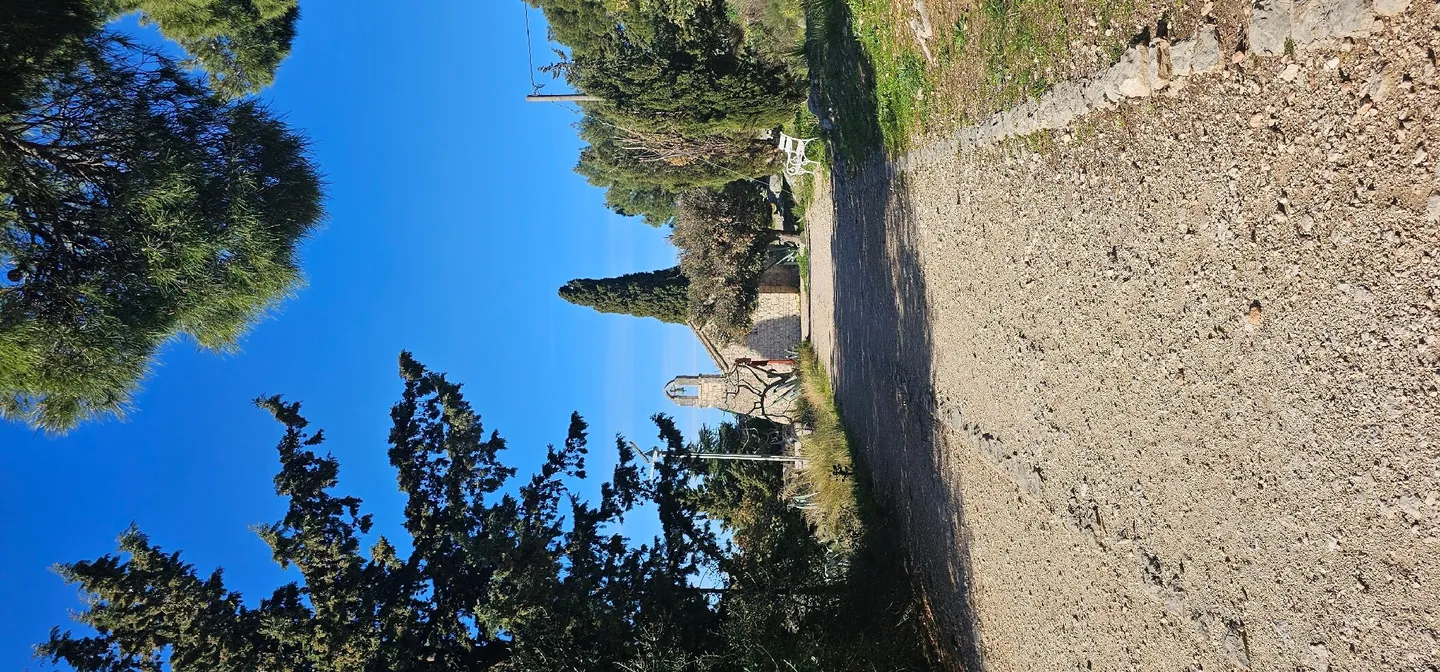 2_Forest Park Marjan