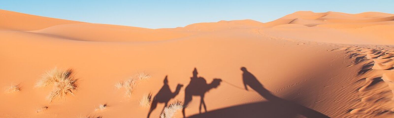 travel