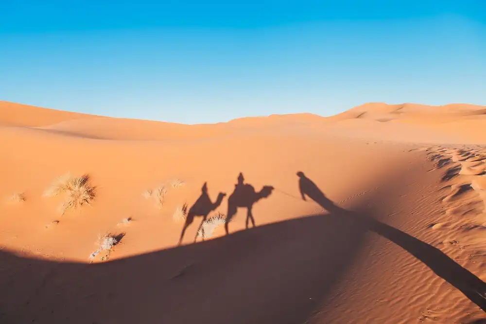 Erg Chebbi Dunes附近的飯店