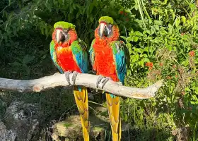 Zoa Parc Animalier et Botanique