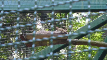 Tierpark Gera