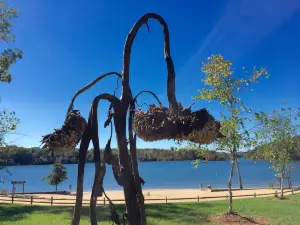 Lake James State Park