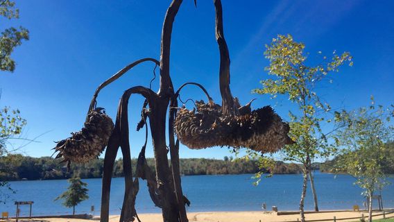 Lake James State Park
