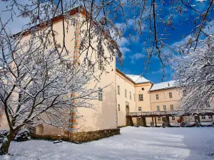 Castello di Užhorod, Museo della Storia Regionale