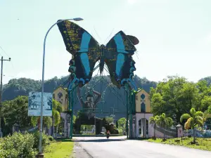 Bantimurung Bulusaraung National Park