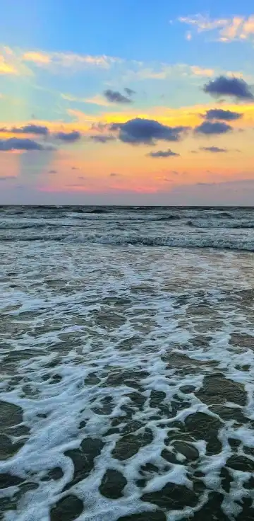 希爾頓黑德島酒店