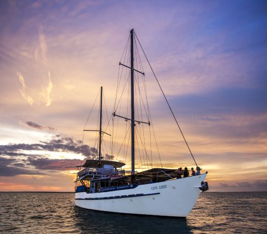 Cape Adieu Cruises & Charters