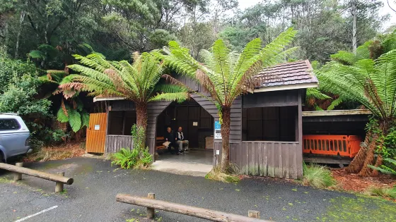 Mole Creek Caves