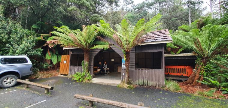 Mole Creek Caves