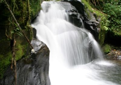 Chiriqui