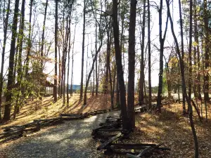 Kings Mountain State Park