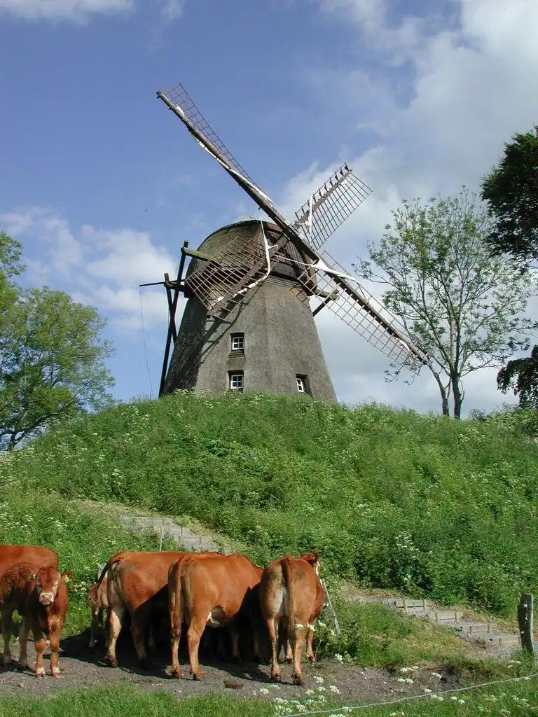 Hotels near Havnoe Moelle