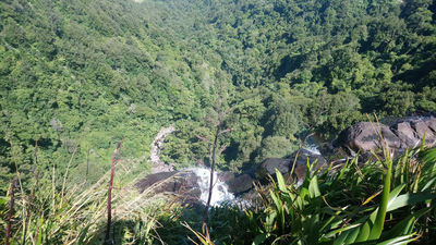Wairere Falls