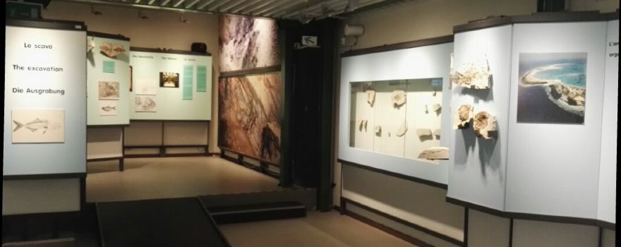 Fossil Museum of Bolca