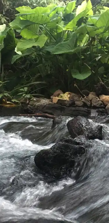 3-Star Hotels in Michoacan, Mexico