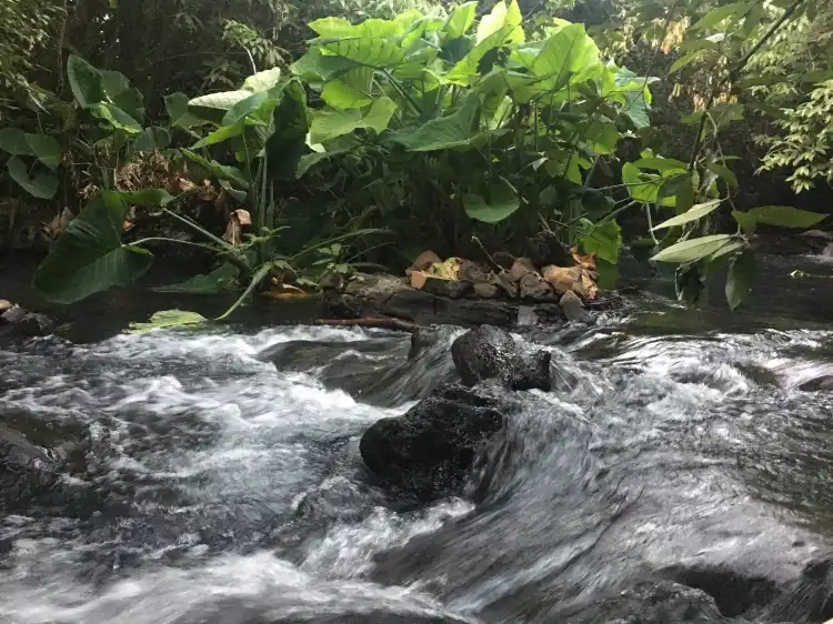 Hotels mit Frühstück in Michoacan, Mexiko