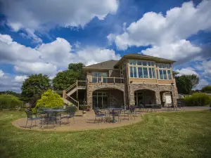 Shadow Springs Vineyard