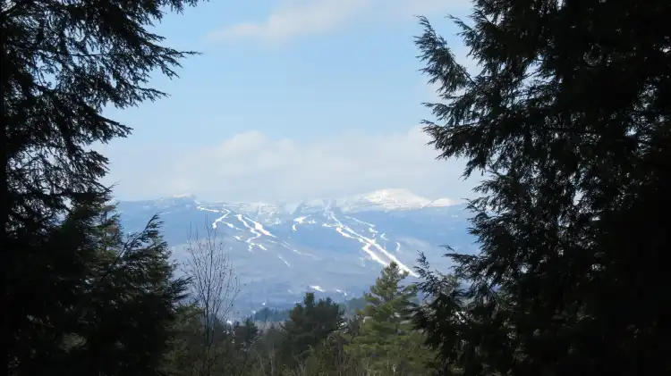 Các khách sạn gần Cady Hill Forest