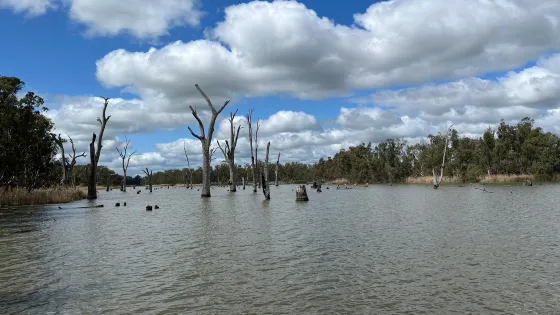 Lake Mulwala