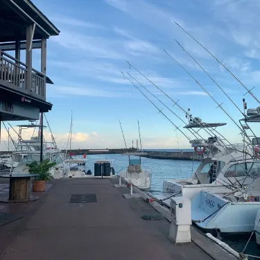 Reunion Island Fishing Club