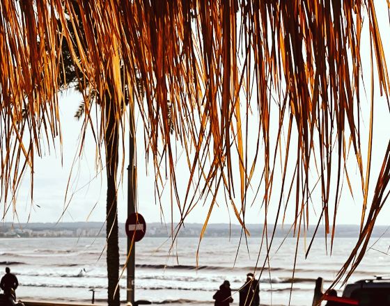 坎帕斯蒂利亞 自由行套票