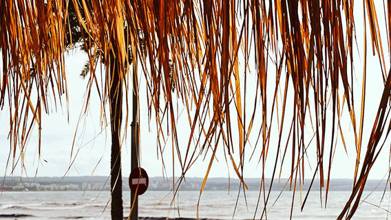 BonaOna Surf School & Bar