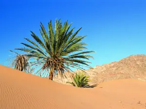 Wadi Araba Desert