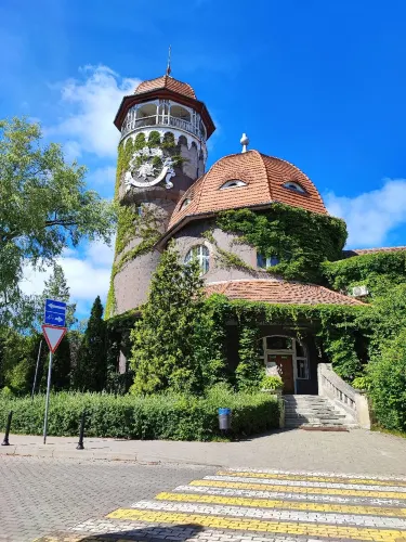 Светлогорский район