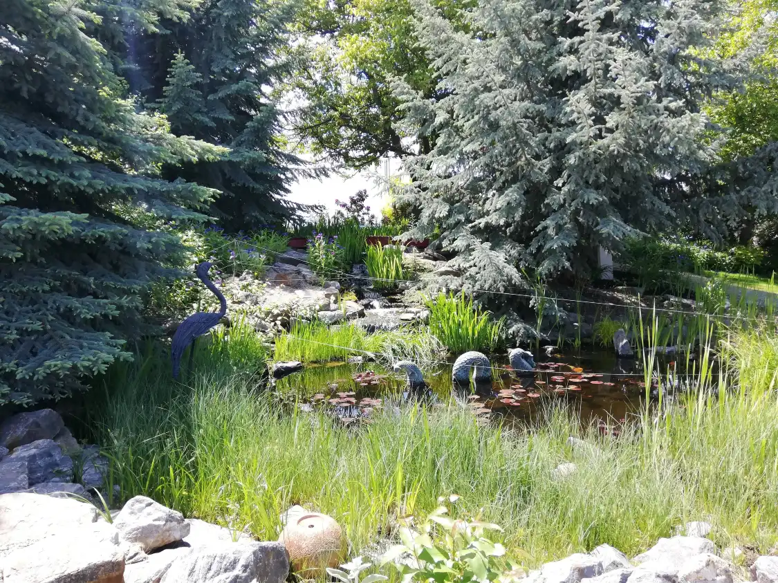 Hotel in zona Okanagan Koi and Water Garden