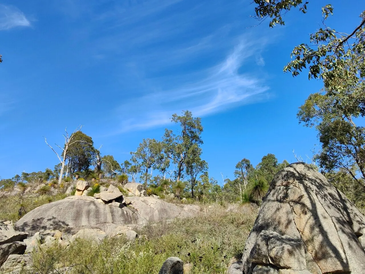 Rocky Pool