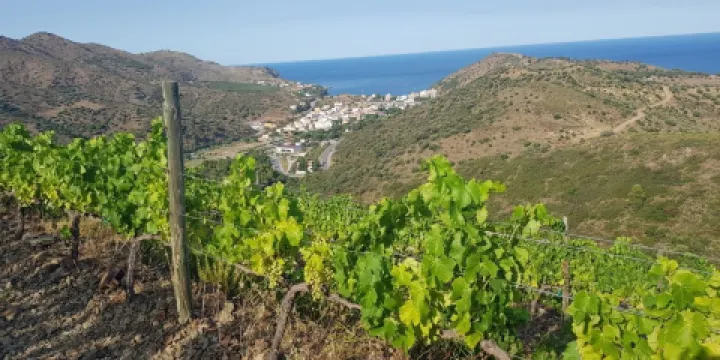 Celler Hugas de Batlle