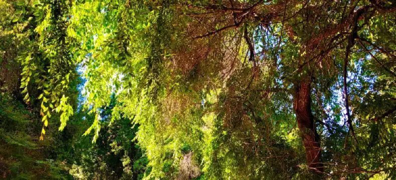 Hoteles en Fullerton