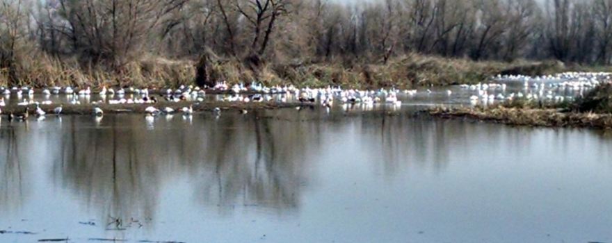 Colusa County