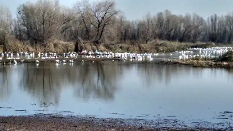 Colusa County
