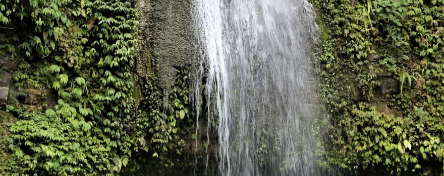 Siberut National Park
