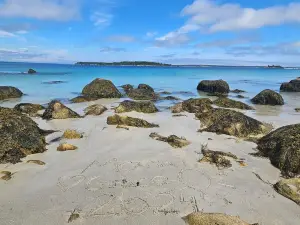Carters Beach Rd