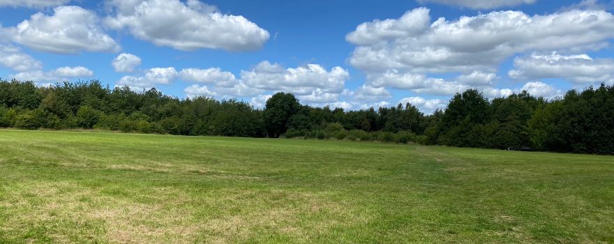 Fosse Meadows Nature Area