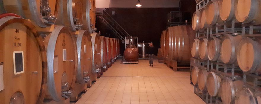 Azienda Agricola Rivetto