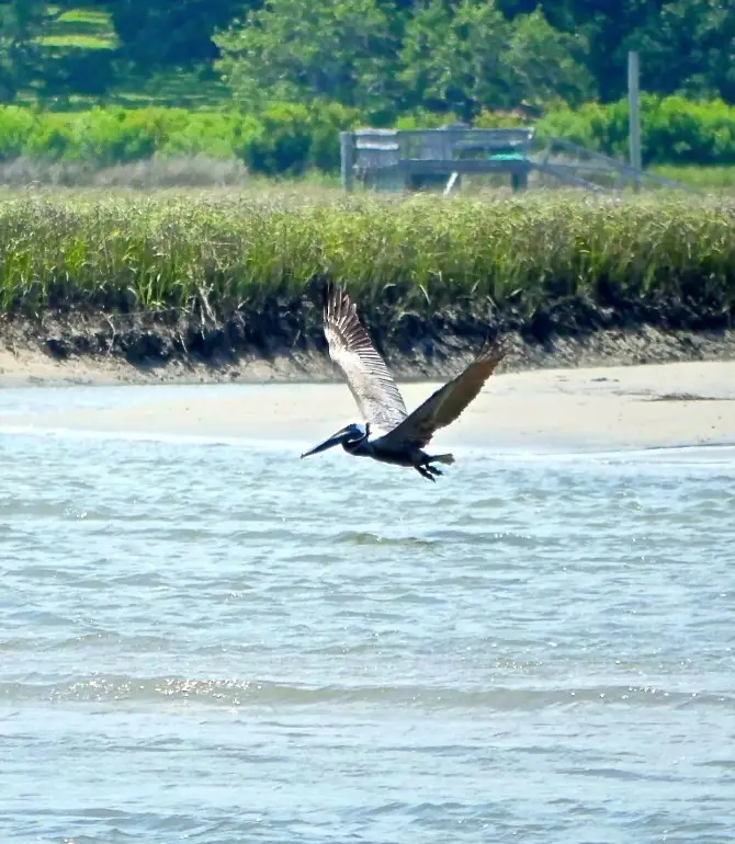 Masonboro