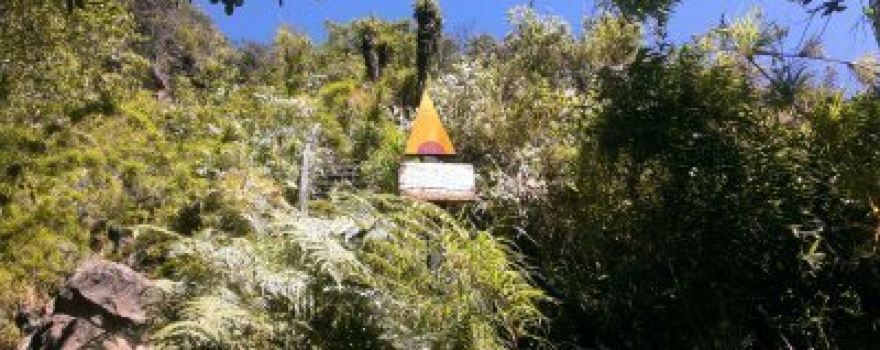 Sendero Ecologico la Zarza