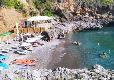 Acquafredda