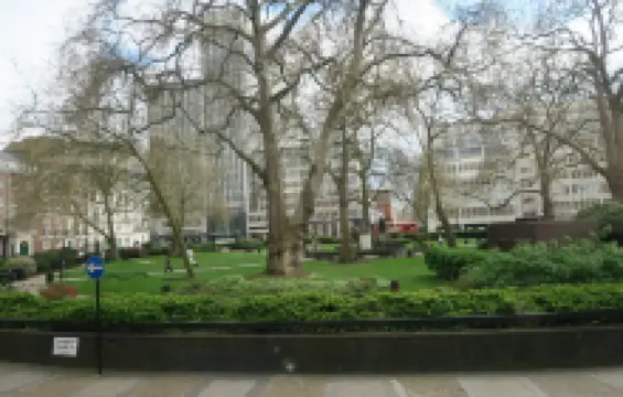 Cavendish Square Gardens