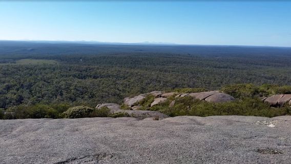 Mount Lindesay National Park