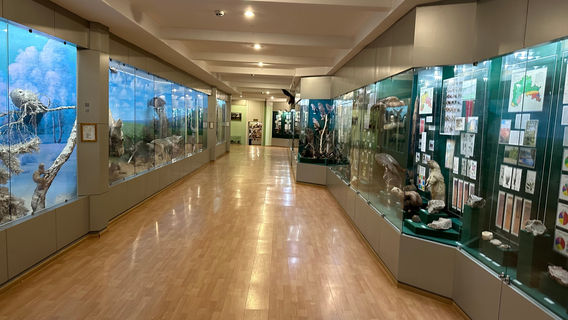 North Kazakhstan Regional History and Local Lore Museum