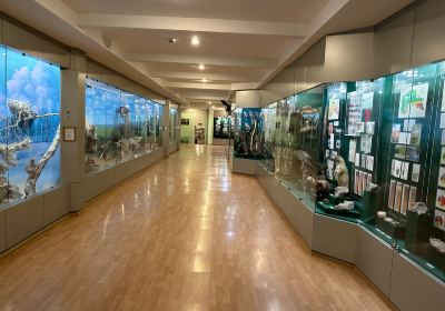 North Kazakhstan Regional History and Local Lore Museum
