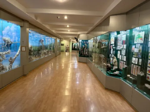 North Kazakhstan Regional History and Local Lore Museum