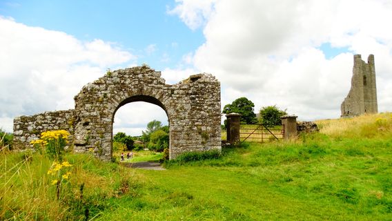 St. Mary's Abbey, Trim